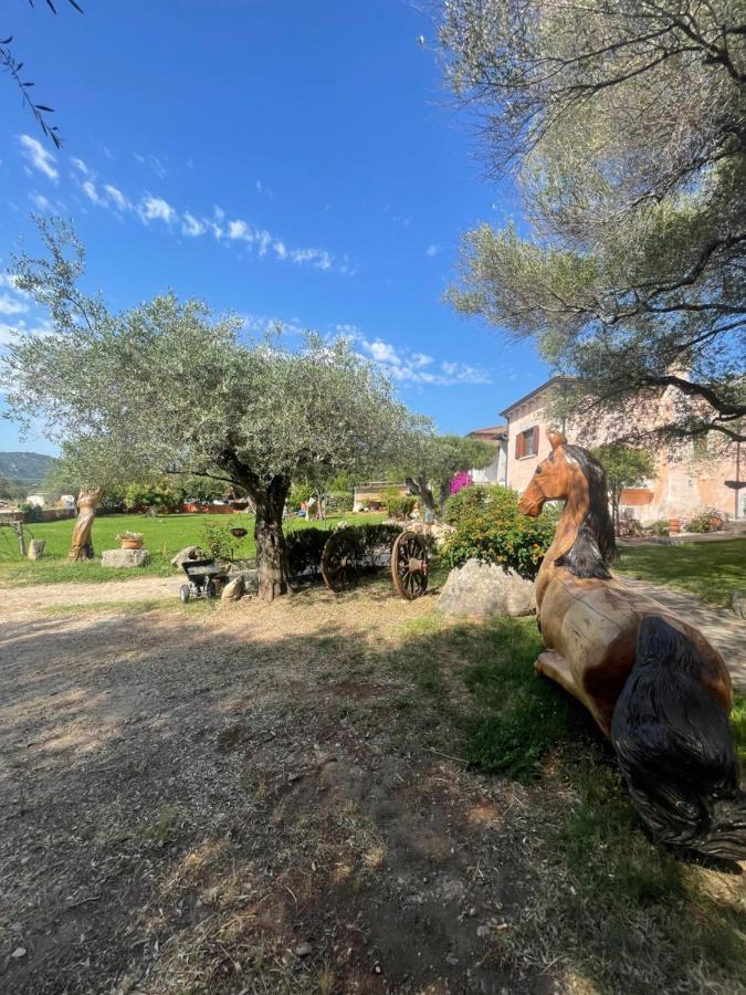 Azienda Agrituristica Contras Olbia Esterno foto