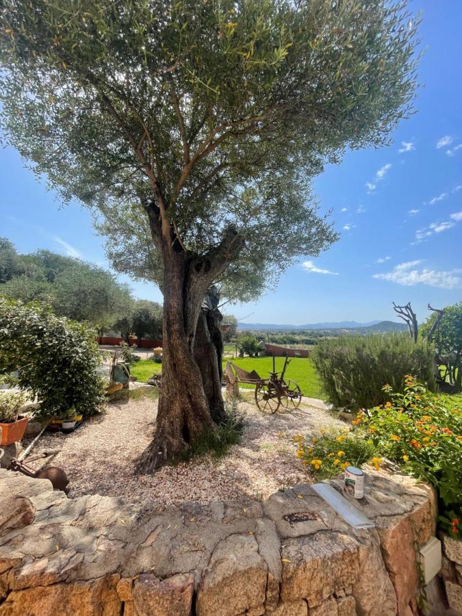Azienda Agrituristica Contras Olbia Esterno foto
